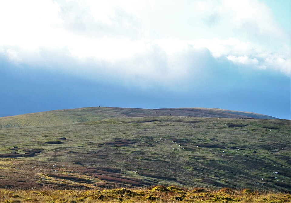 Andrewhinney Hill, 677 m, Dumfries and Galloway/Scottish Borders