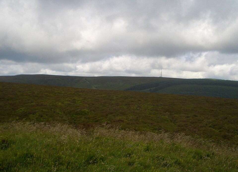 Bache Hill, 610 m, Powys
