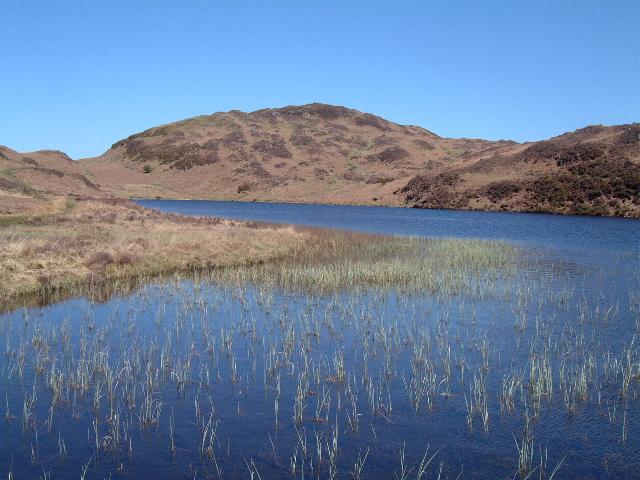 Beacon Fell, 255 m, Westmorland and Furness