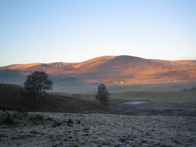 Ben Tirran, 897 m, Angus