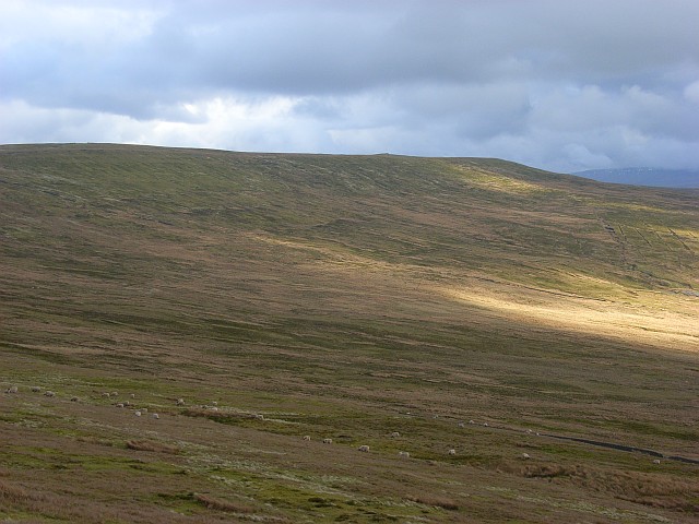 Black Fell, 664 m, Westmorland and Furness