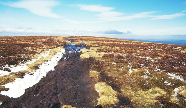 Black Mountain, 704 m, Herefordshire/Powys