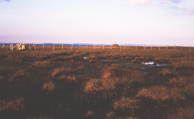 Burnhope Seat, 748 m, Westmorland and Furness