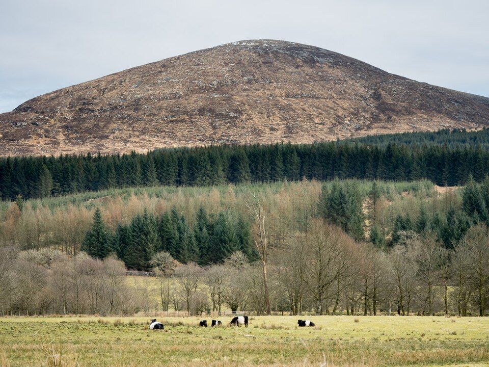 Cairnsmore of Fleet, 711 m, Dumfries and Galloway