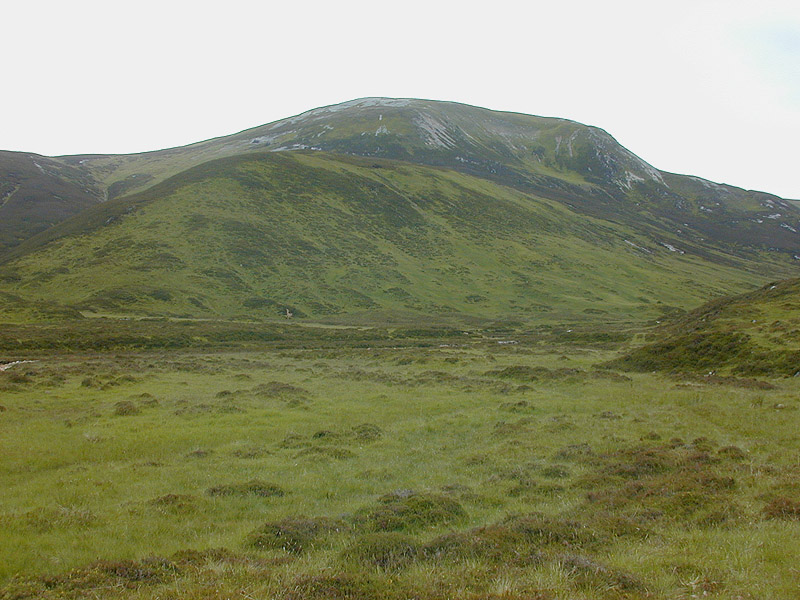 Carn Bhac, 945 m, Aberdeenshire
