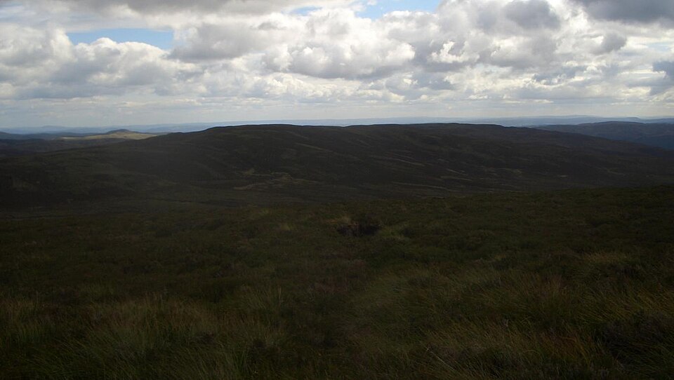 Cefn Gwyntog, 614 m, Powys