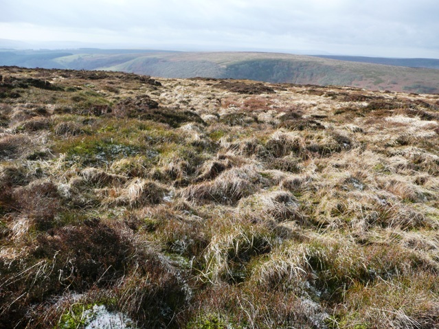 Coety Mountain, 577 m, Blaenau Gwent