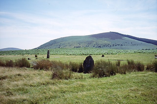Corndon Hill, 514 m, Powys