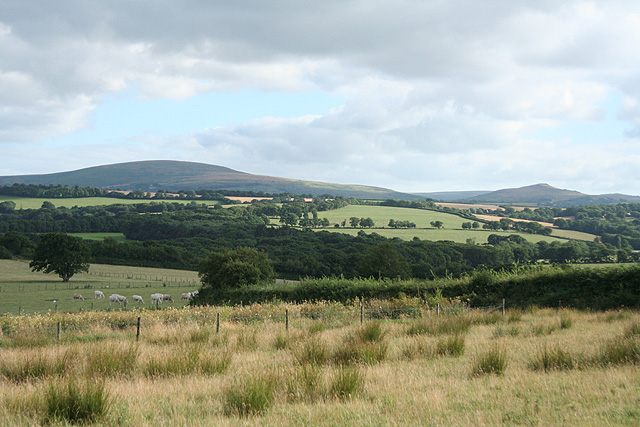 Cosdon Hill, 551 m, Devon