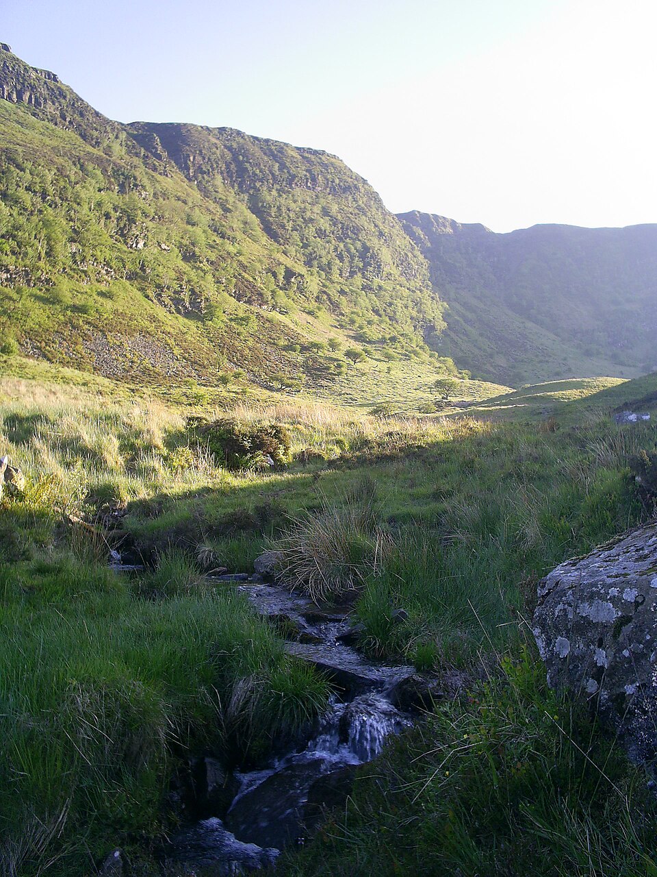 Craig Cerrig-gleisiad, 629 m, Powys