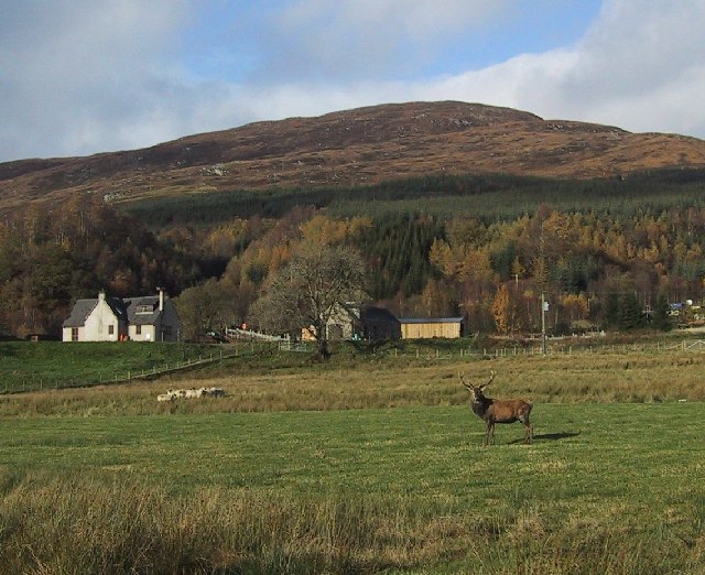 Creag Dhubh, 660 m, Highland