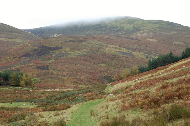 Dun Rig, 744 m, Scottish Borders