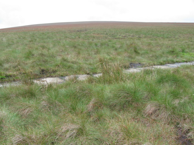 Featherbed Top, 544 m, Derbyshire
