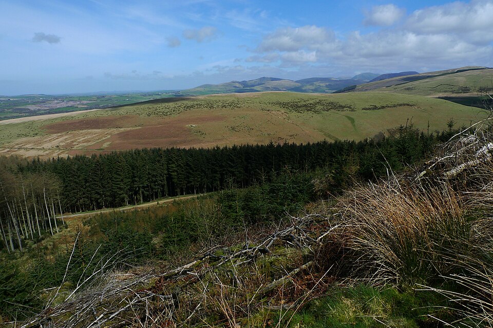 Flat Fell, 272 m, Cumberland