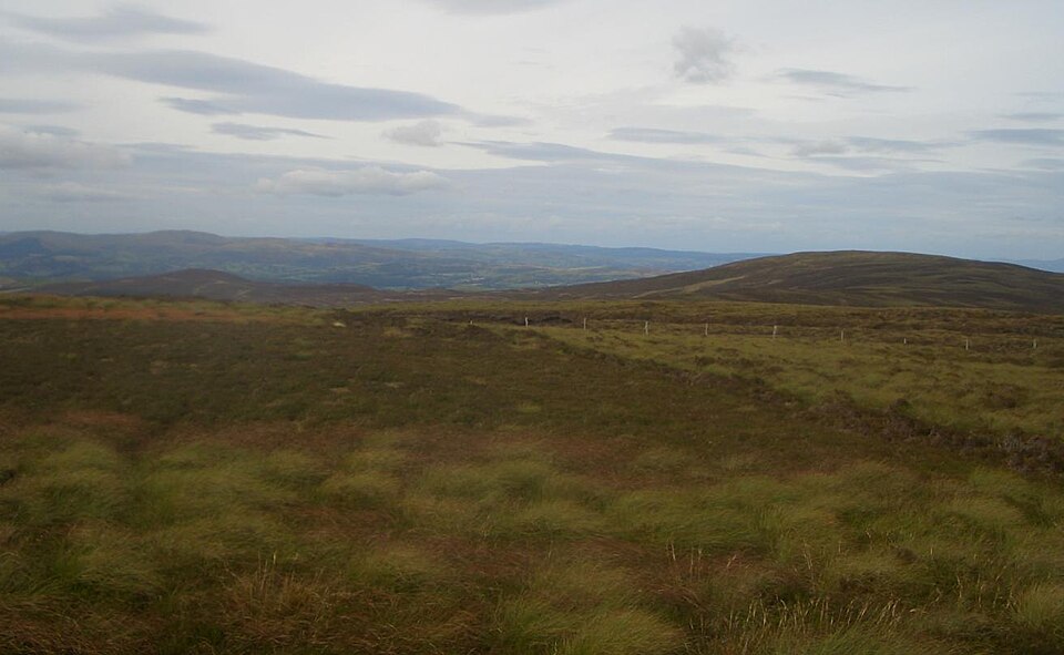 Foel Cwm-Sian Llwyd, 648 m, Gwynedd