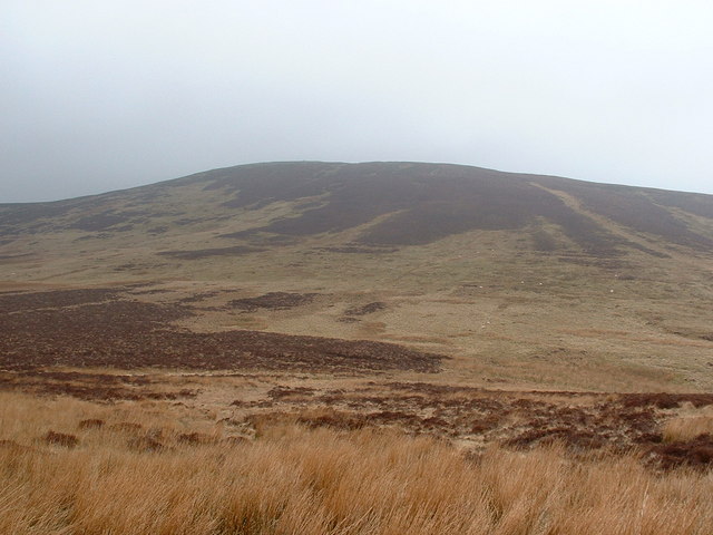 Foel y Geifr, 626 m, Gwynedd
