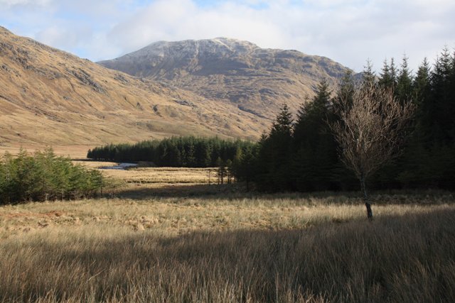Fraoch Bheinn, 857 m, Highland