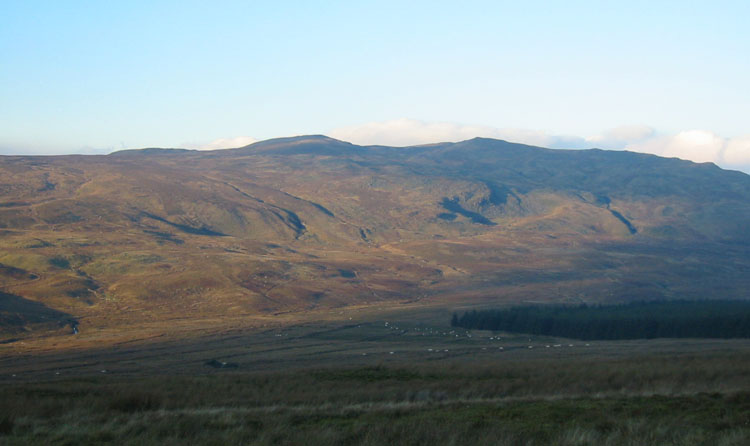Gallt y Daren, 619 m, Gwynedd