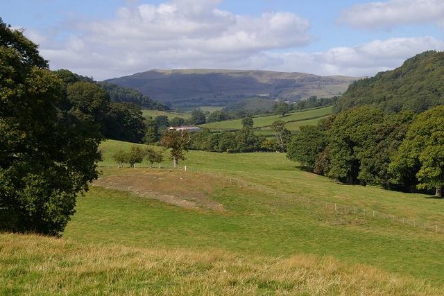 Gyrn Moelfre, 523 m, Powys