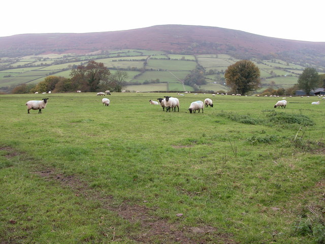 Hatterrall Hill, 531 m, Monmouthshire [Sir Fynwy]