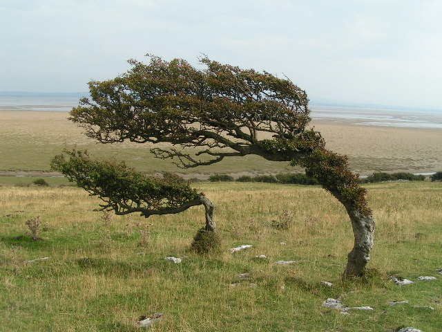 Humphrey Head, 53 m, Westmorland and Furness