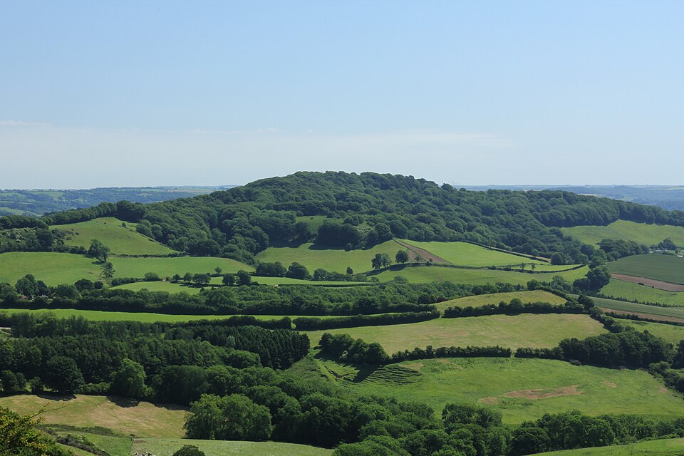 Lewesdon Hill, 279 m, Dorset