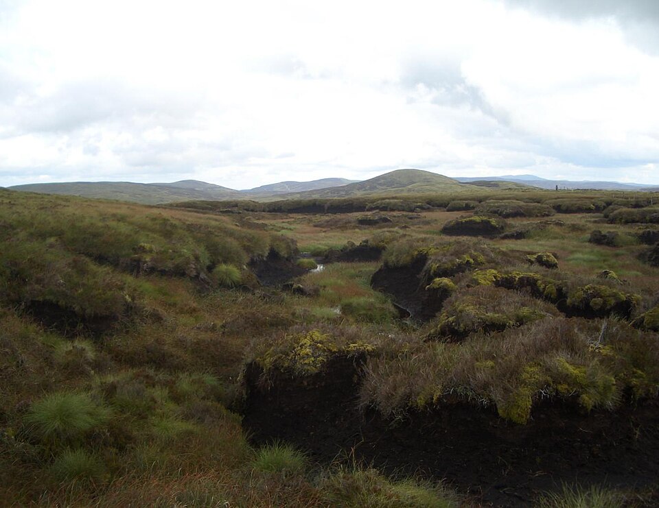 Llechwedd Du, 613 m, Gwynedd