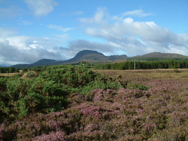 Meall Fuar-mhonaidh, 698 m, Highland