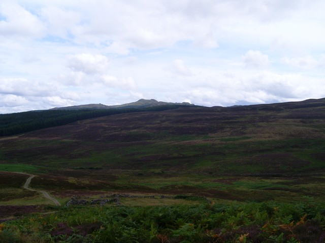 Meall Tairneachan, 787 m, Perth and Kinross