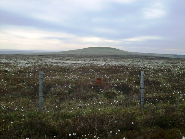 Meugher, 575 m, North Yorkshire