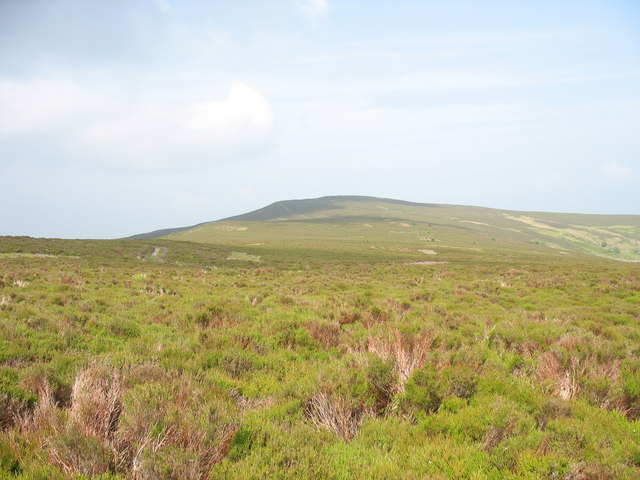 Moel Fferna, 630 m, Denbighshire [Sir Ddinbych]
