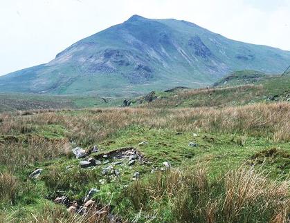 Moel Llyfnant, 751 m, Gwynedd