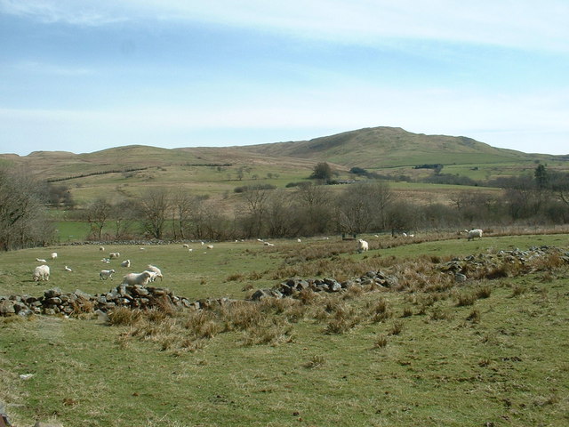Moel Oernant, 503 m, Gwynedd
