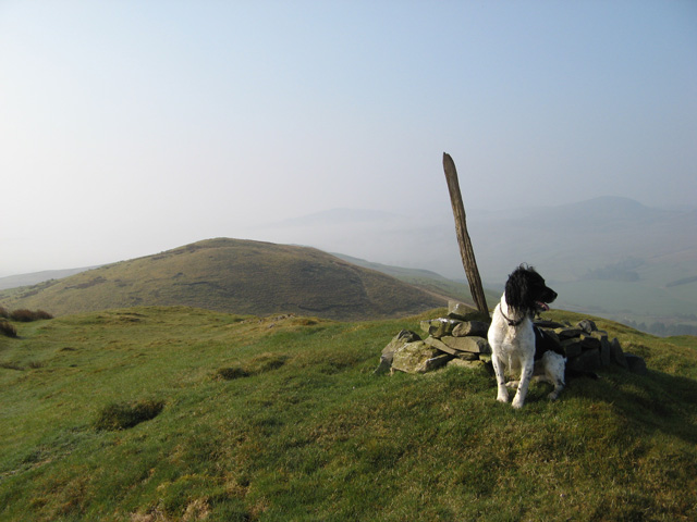 Moel y Gydros, 522 m, Gwynedd