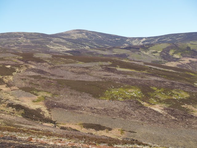 Mount Battock, 778 m, Aberdeenshire/Angus