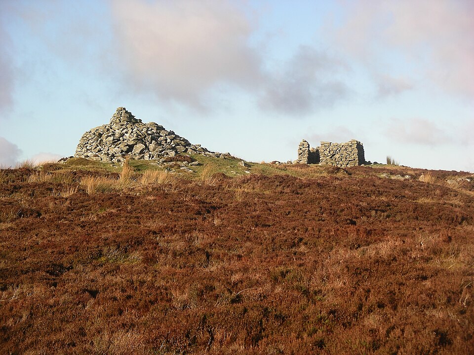 Mwdwl-eithin, 532 m, Conwy