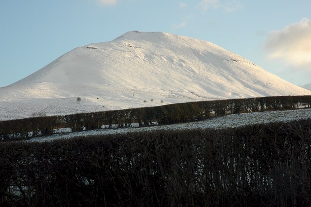 Mynydd Troed, 609 m, Powys
