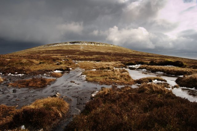 Pen Cerrig-calch, 701 m, Powys