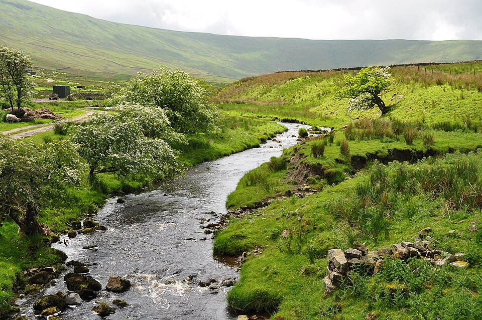 Redshaw Moss, 545 m, North Yorkshire