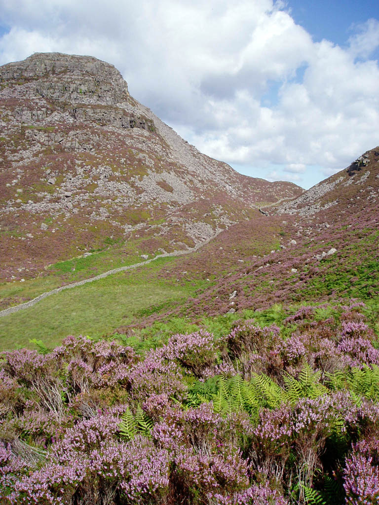 Rhinog Fawr, 720 m, Gwynedd