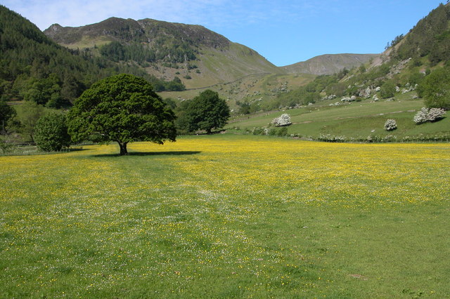 Sheffield Pike, 676 m, Westmorland and Furness