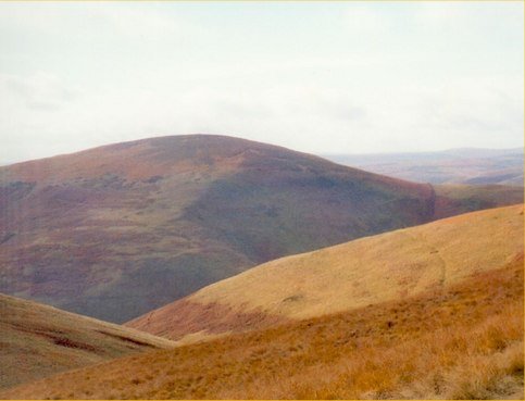 Shillhope Law, 501 m, Northumberland