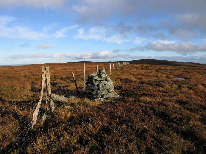 Waun Garnedd-y-Filiast, 651 m, Conwy/Gwynedd